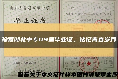 珍藏湖北中专09届毕业证，铭记青春岁月缩略图