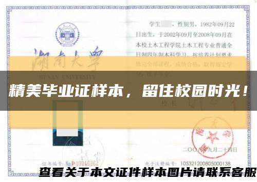 精美毕业证样本，留住校园时光！缩略图