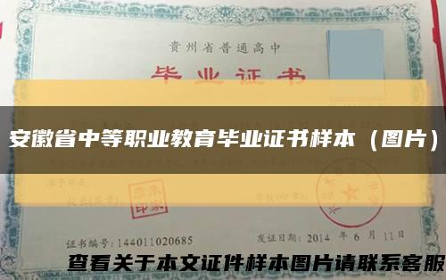 安徽省中等职业教育毕业证书样本（图片）缩略图