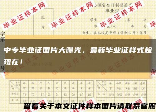 中专毕业证图片大曝光，最新毕业证样式趁现在！缩略图