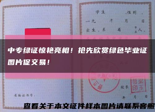 中专绿证惊艳亮相！抢先欣赏绿色毕业证图片促交易！缩略图
