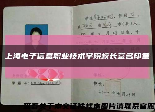 上海电子信息职业技术学院校长签名印章缩略图
