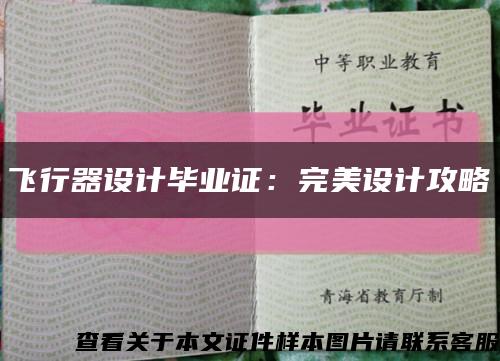 飞行器设计毕业证：完美设计攻略缩略图