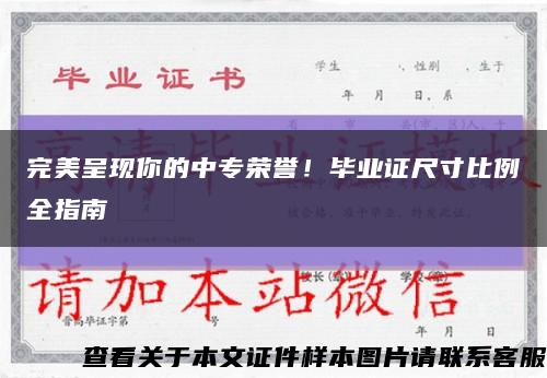 完美呈现你的中专荣誉！毕业证尺寸比例全指南缩略图