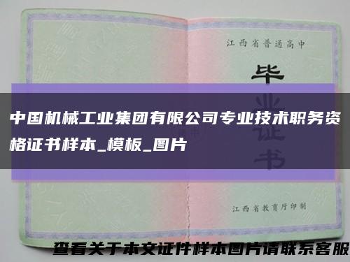 中国机械工业集团有限公司专业技术职务资格证书样本_模板_图片缩略图