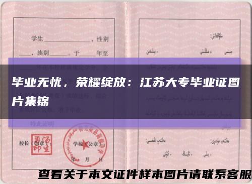毕业无忧，荣耀绽放：江苏大专毕业证图片集锦缩略图