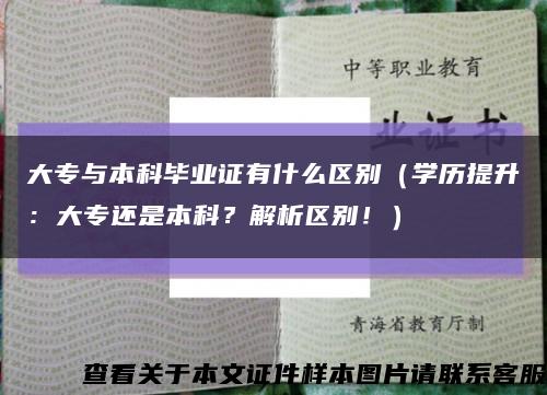 大专与本科毕业证有什么区别（学历提升：大专还是本科？解析区别！）缩略图