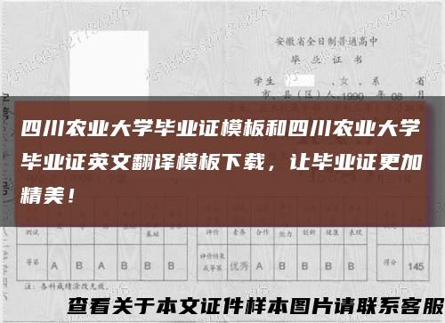 四川农业大学毕业证模板和四川农业大学毕业证英文翻译模板下载，让毕业证更加精美！缩略图