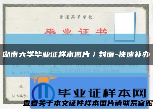 湖南大学毕业证样本图片／封面-快速补办缩略图