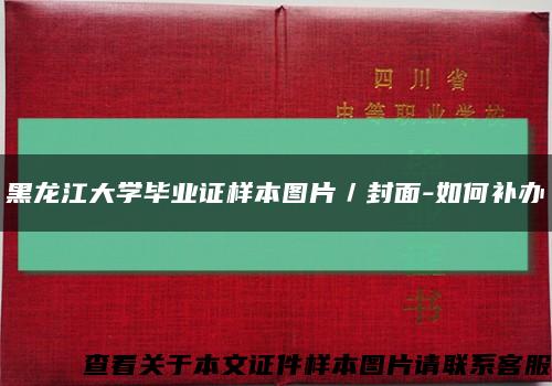 黑龙江大学毕业证样本图片／封面-如何补办缩略图
