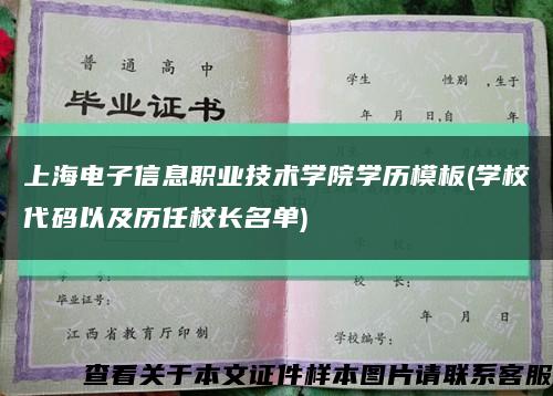 上海电子信息职业技术学院学历模板(学校代码以及历任校长名单)缩略图