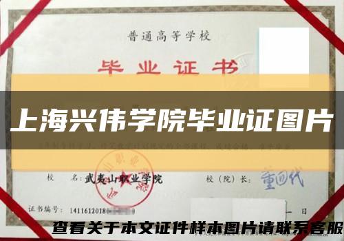 上海兴伟学院毕业证图片缩略图