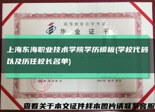 上海东海职业技术学院学历模板(学校代码以及历任校长名单)缩略图