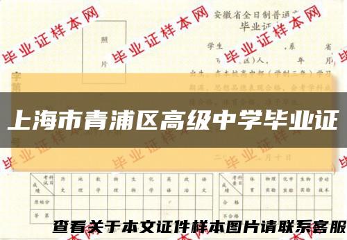 上海市青浦区高级中学毕业证缩略图