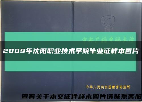 2009年沈阳职业技术学院毕业证样本图片缩略图