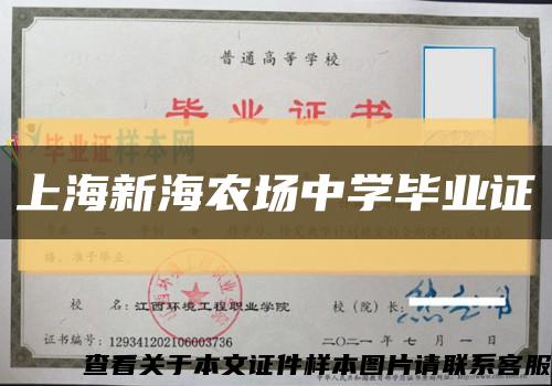 上海新海农场中学毕业证缩略图