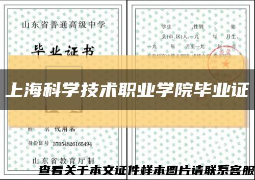 上海科学技术职业学院毕业证缩略图