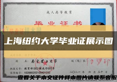 上海纽约大学毕业证展示图缩略图