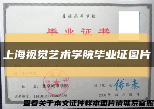 上海视觉艺术学院毕业证图片缩略图