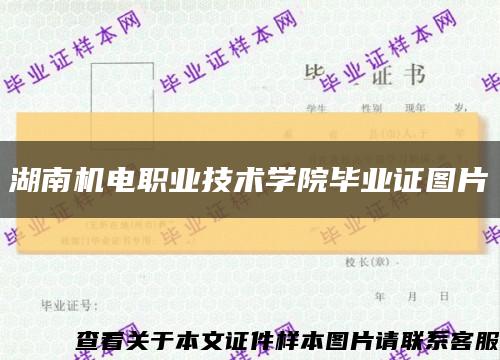 湖南机电职业技术学院毕业证图片缩略图
