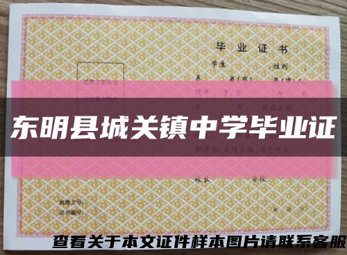 东明县城关镇中学毕业证缩略图
