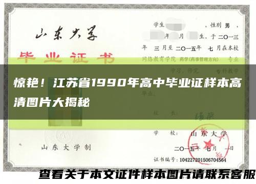 惊艳！江苏省1990年高中毕业证样本高清图片大揭秘缩略图