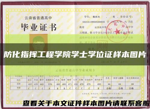 防化指挥工程学院学士学位证样本图片缩略图