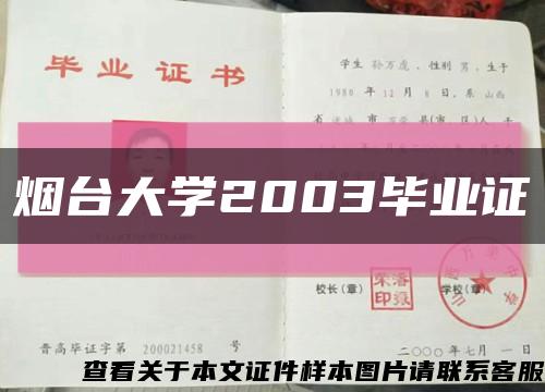 烟台大学2003毕业证缩略图