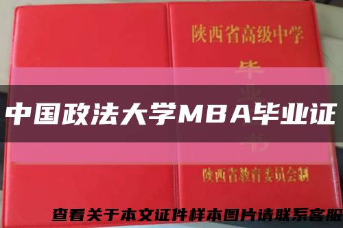 中国政法大学MBA毕业证缩略图
