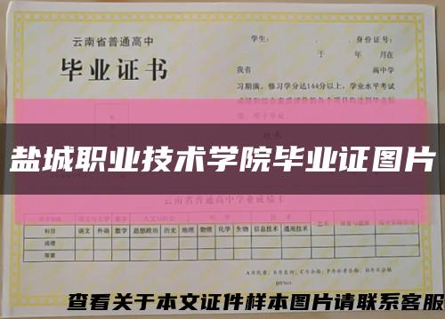 盐城职业技术学院毕业证图片缩略图