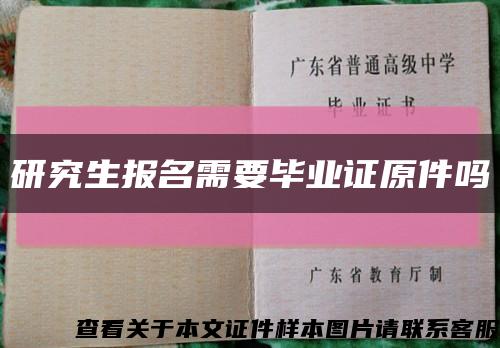 研究生报名需要毕业证原件吗缩略图