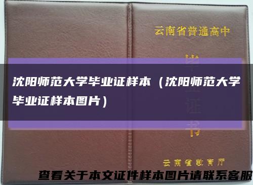 沈阳师范大学毕业证样本（沈阳师范大学毕业证样本图片）缩略图