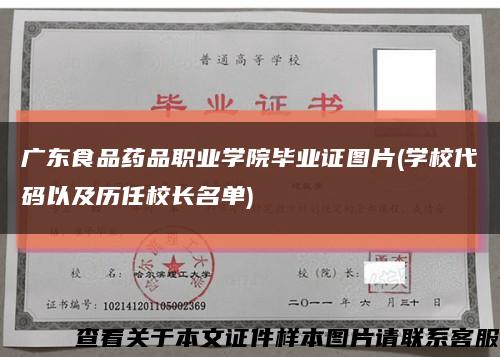广东食品药品职业学院毕业证图片(学校代码以及历任校长名单)缩略图