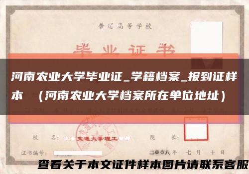 河南农业大学毕业证_学籍档案_报到证样本 （河南农业大学档案所在单位地址）缩略图