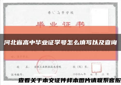 河北省高中毕业证学号怎么填写以及查询缩略图