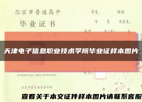 天津电子信息职业技术学院毕业证样本图片缩略图