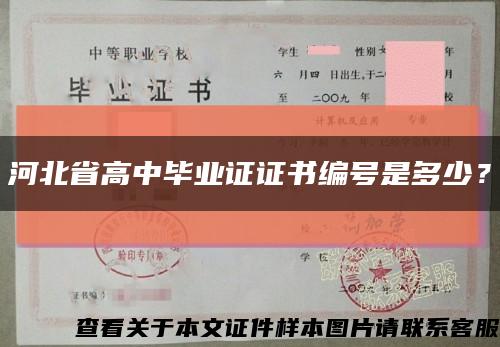 河北省高中毕业证证书编号是多少？缩略图