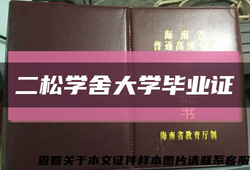 二松学舍大学毕业证缩略图
