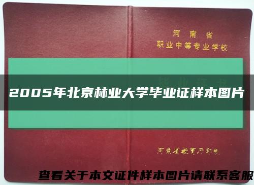 2005年北京林业大学毕业证样本图片缩略图
