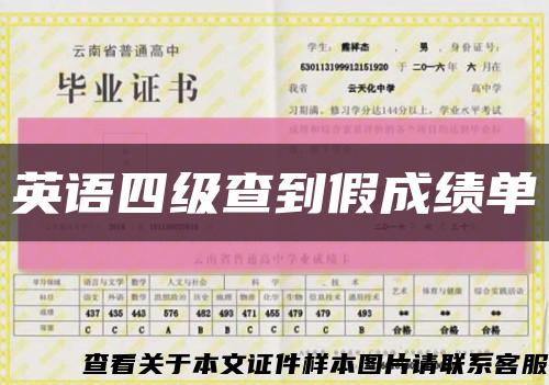 英语四级查到假成绩单缩略图