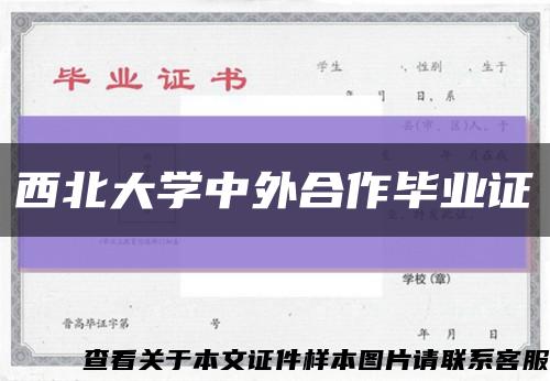 西北大学中外合作毕业证缩略图