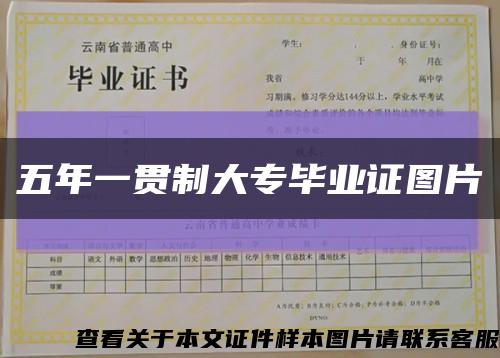 五年一贯制大专毕业证图片缩略图