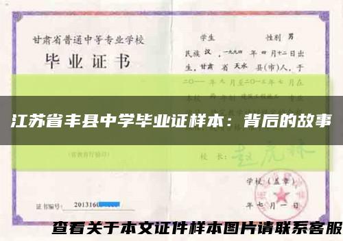 江苏省丰县中学毕业证样本：背后的故事缩略图