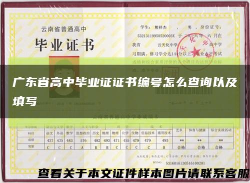 广东省高中毕业证证书编号怎么查询以及填写缩略图