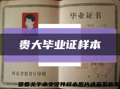贵大毕业证样本缩略图