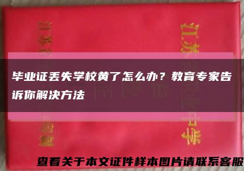 毕业证丢失学校黄了怎么办？教育专家告诉你解决方法缩略图