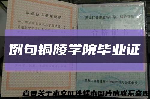 例句铜陵学院毕业证缩略图