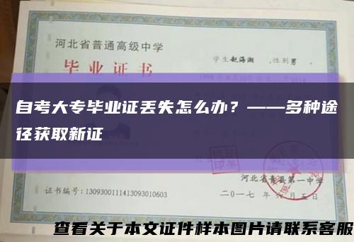 自考大专毕业证丢失怎么办？——多种途径获取新证缩略图