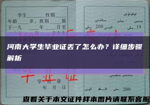 河南大学生毕业证丢了怎么办？详细步骤解析缩略图
