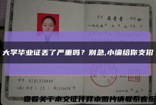 大学毕业证丢了严重吗？别急,小编给你支招缩略图